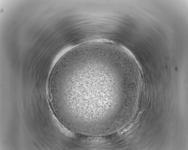 X0000059040811200510101008