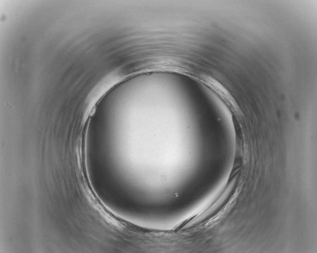 X0000059040812200510101008