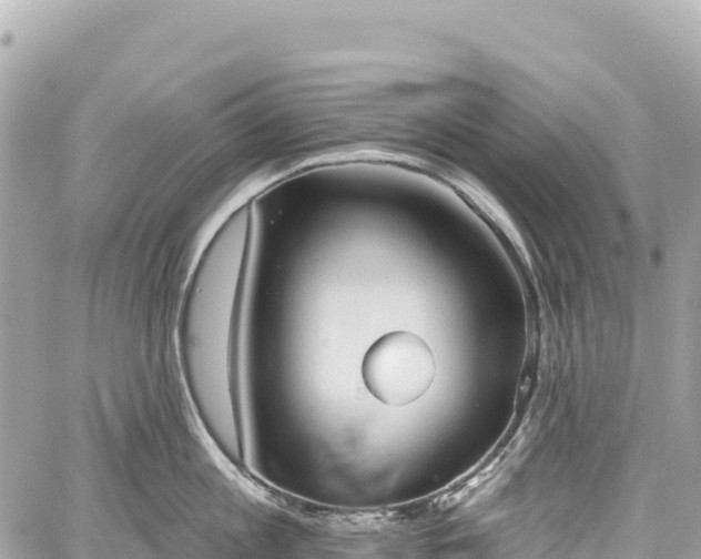 X0000059040813200510101008