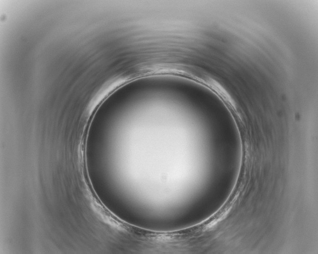 X0000059040814200510101008