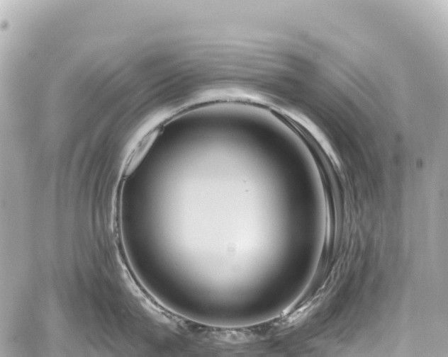 X0000059040815200510101008