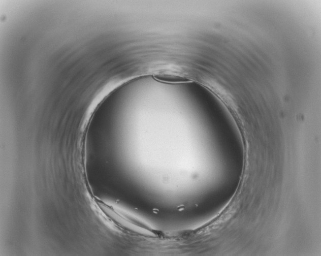 X0000059040816200510101008