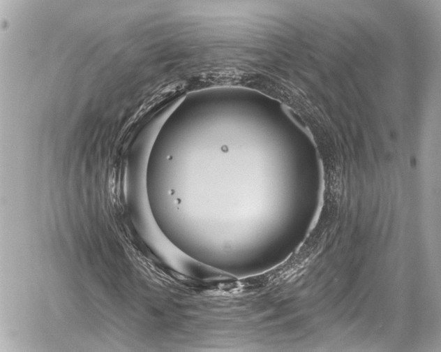 X0000059040818200510101007