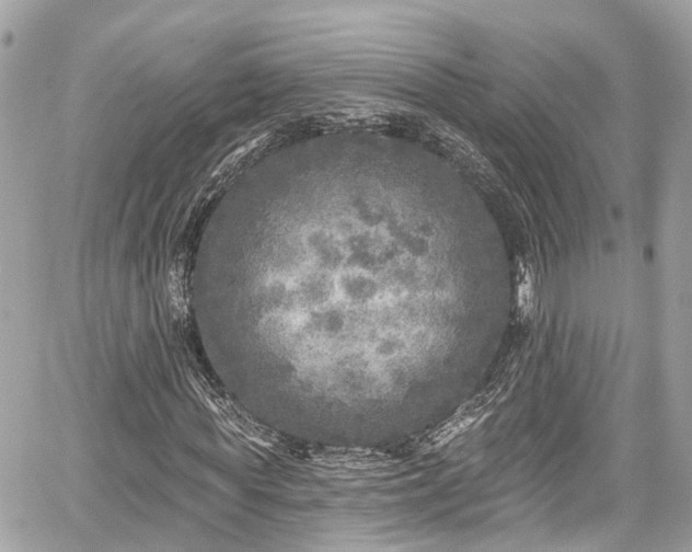 X0000059040819200510101007