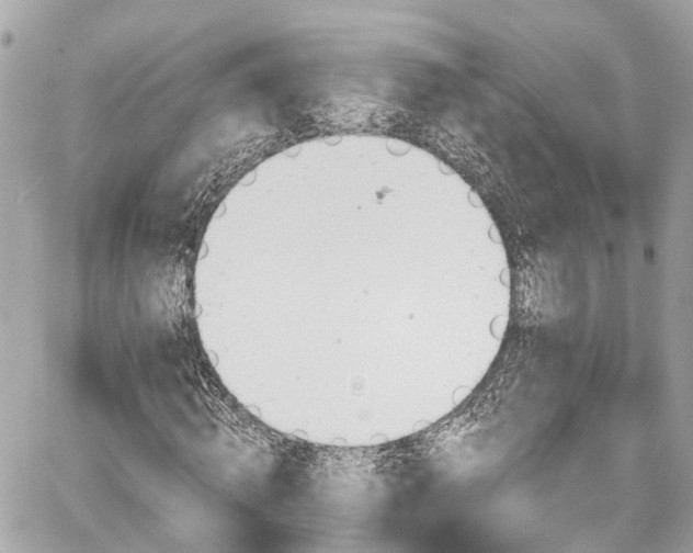 X0000059040820200510101007