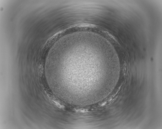 X0000059040821200510101007