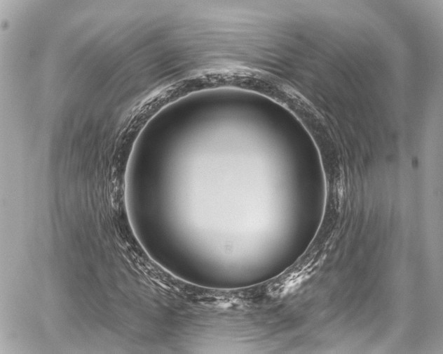 X0000059040822200510101007