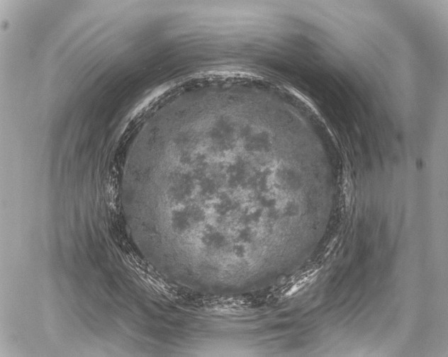 X0000059040823200510101007