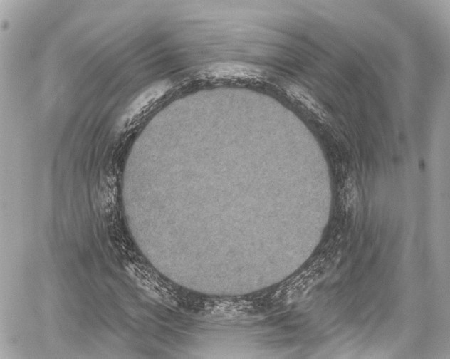 X0000059040824200510101007