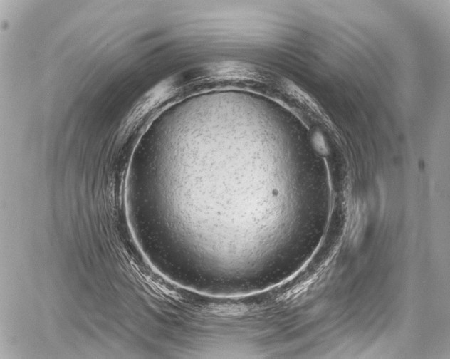 X0000059040825200510101007