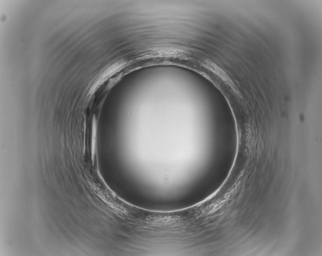 X0000059040826200510101007