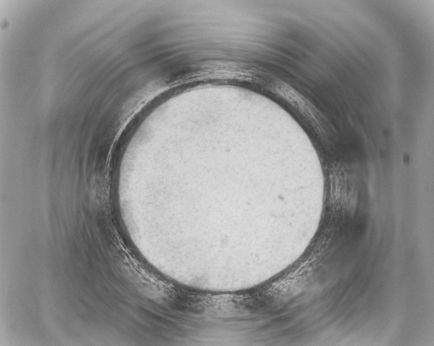 X0000059040828200510101007