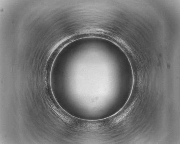 X0000059040830200510101007