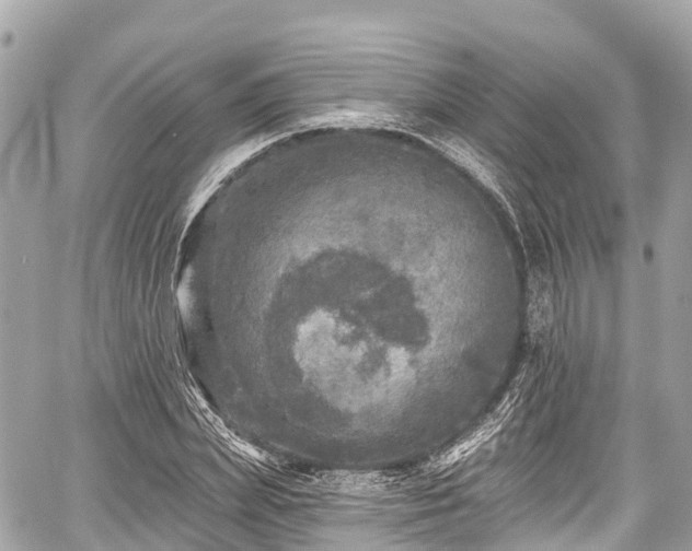 X0000059040831200510101007