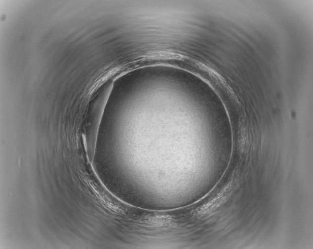 X0000059040833200510101008