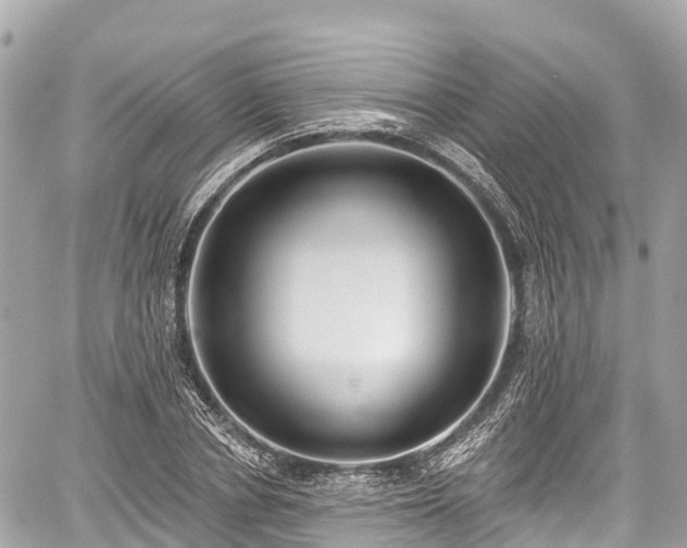 X0000059040834200510101008