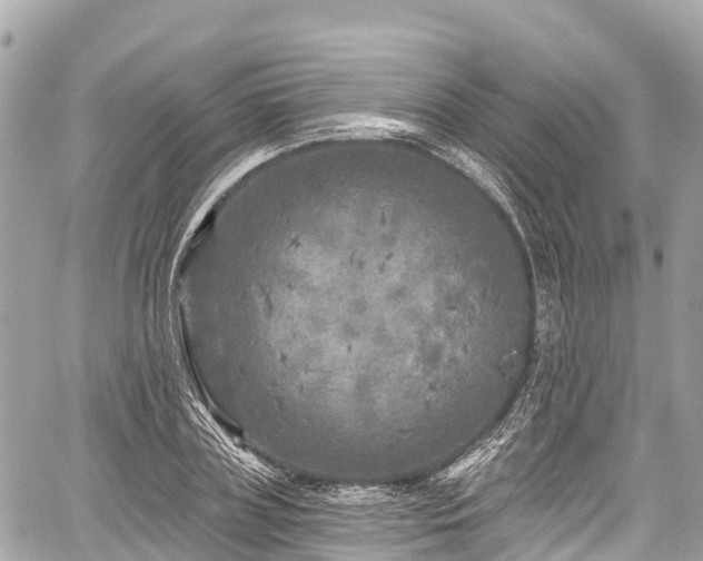 X0000059040835200510101008