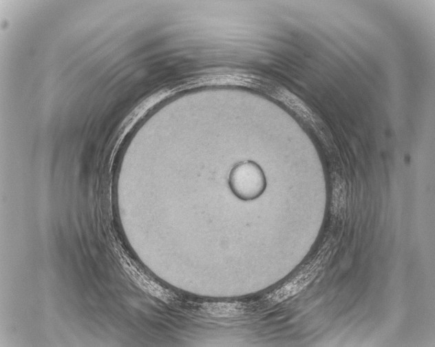 X0000059040836200510101008