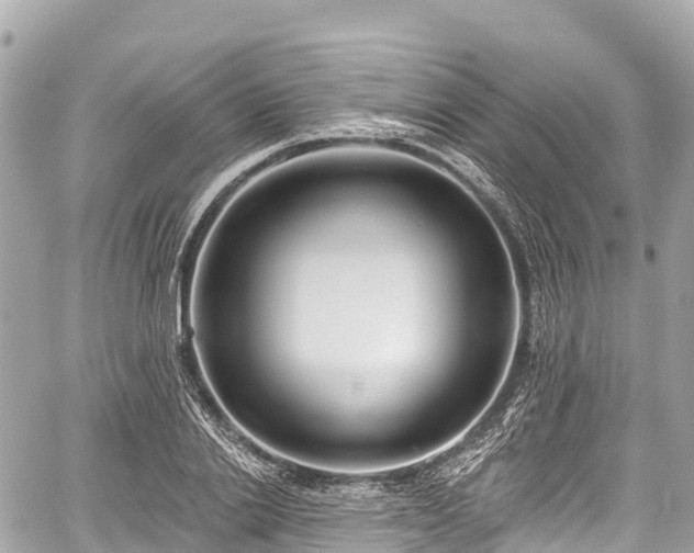 X0000059040838200510101008