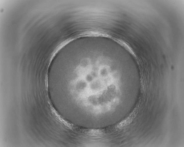 X0000059040839200510101008