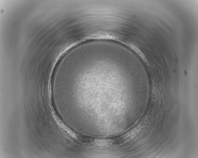 X0000059040840200510101008