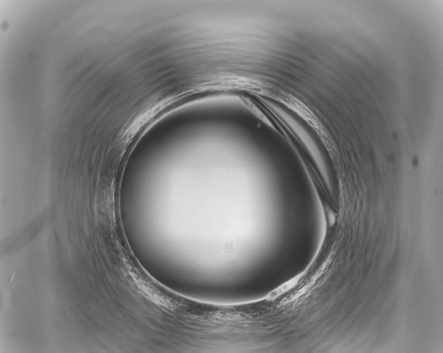 X0000059040842200510101008