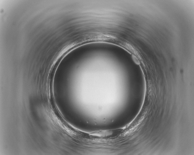 X0000059040843200510101008