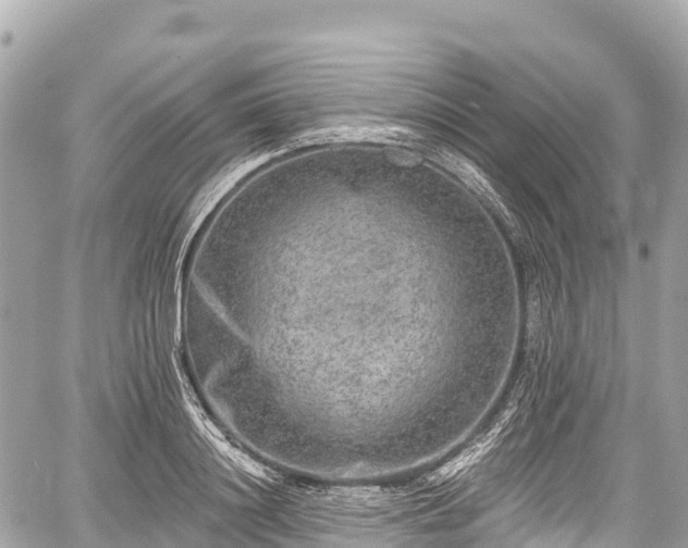 X0000059040844200510101008