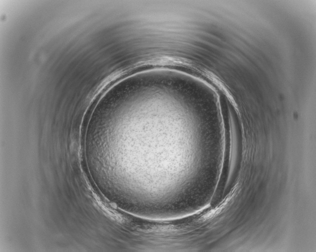 X0000059040845200510101008