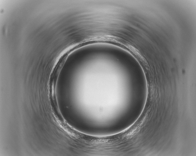 X0000059040846200510101008