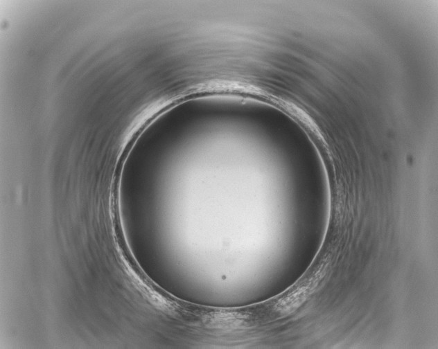 X0000059040847200510101008