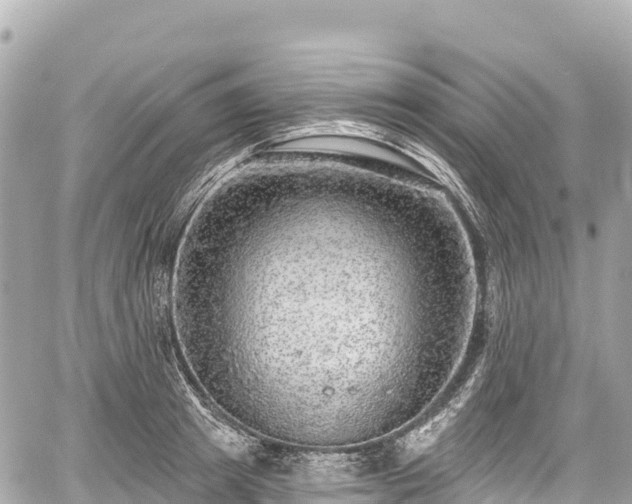 X0000059040849200510101008