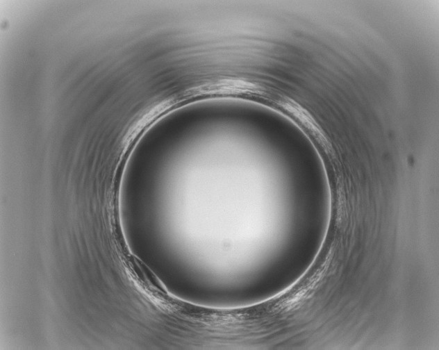 X0000059040850200510101008