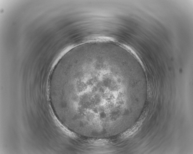 X0000059040851200510101008