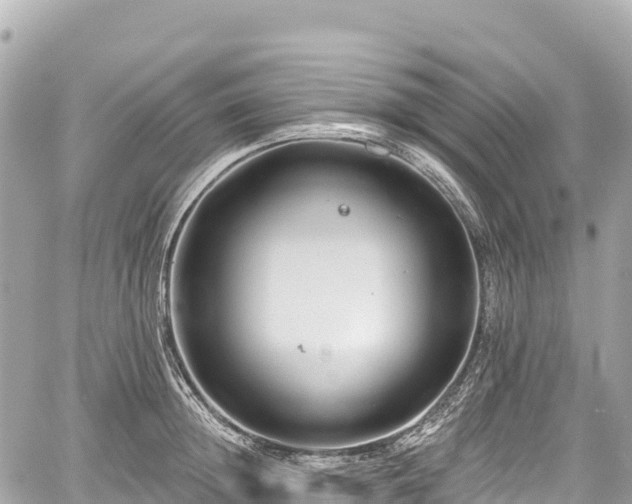 X0000059040852200510101008