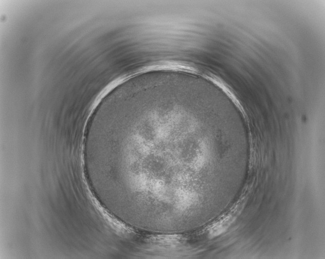 X0000059040853200510101008