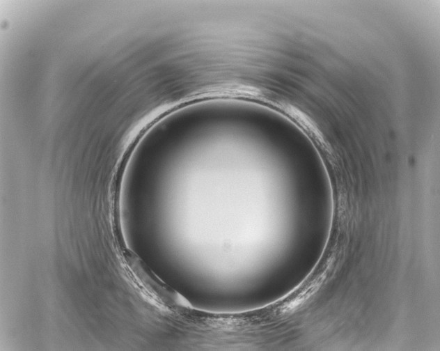 X0000059040854200510101008