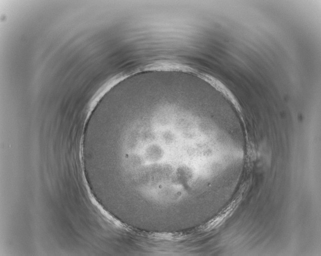 X0000059040855200510101008