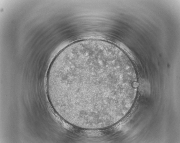 X0000059040856200510101008