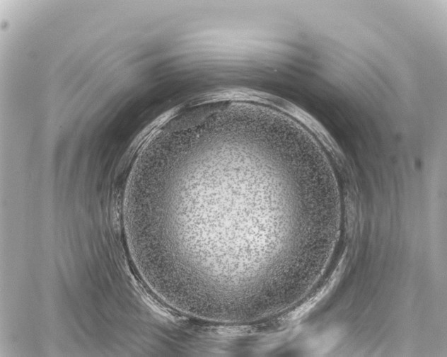 X0000059040857200510101008