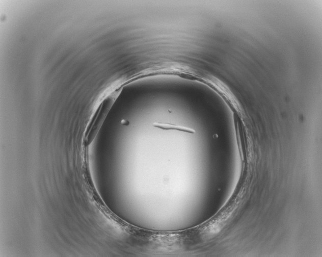 X0000059040858200510101008