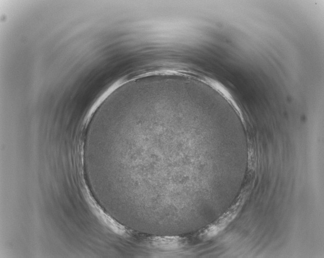 X0000059040859200510101008