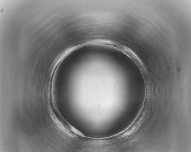 X0000059040860200510101008