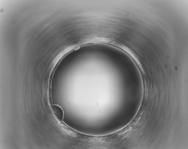 X0000059040861200510101008