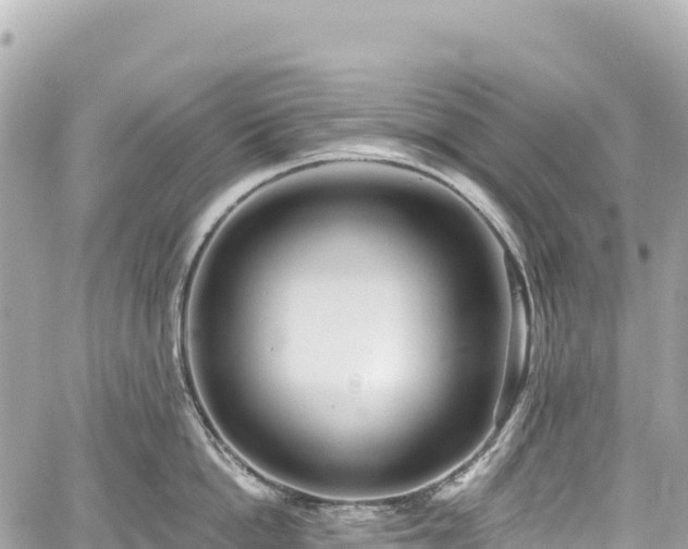 X0000059040862200510101008