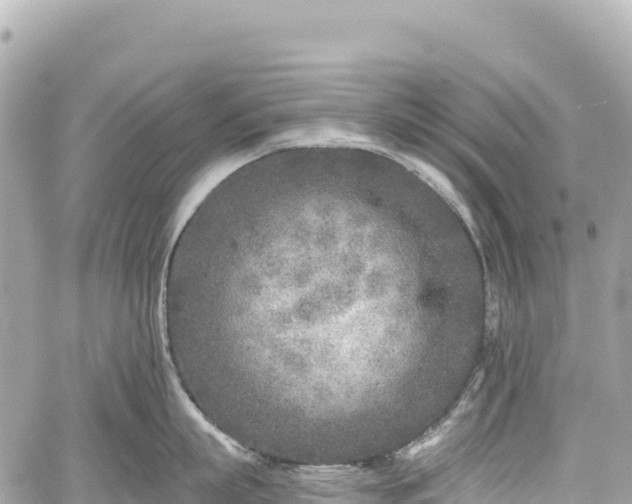 X0000059040863200510101008