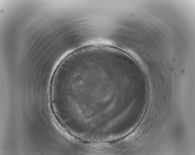 X0000059040864200510101008