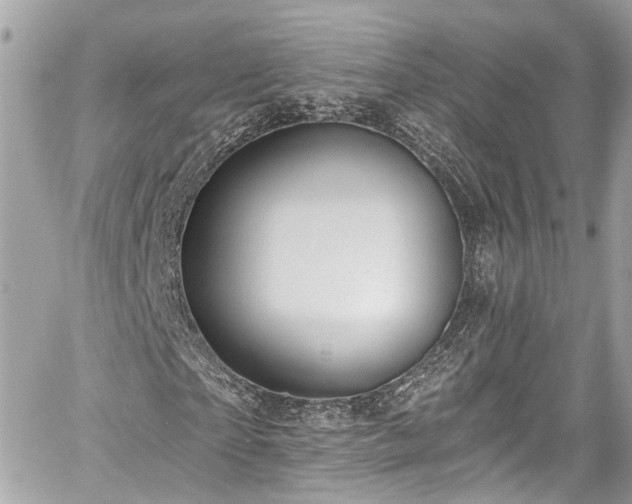 X0000059040865200510101007