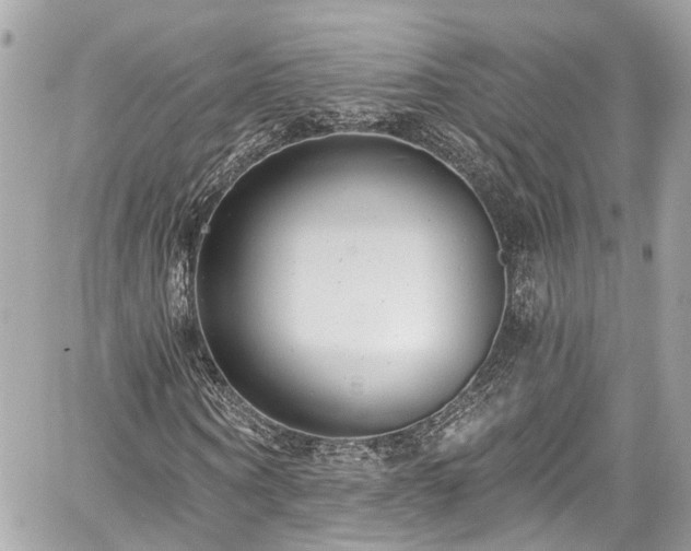 X0000059040866200510101007