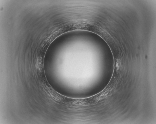 X0000059040867200510101007